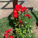 августин 3*