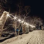 августин Solochin