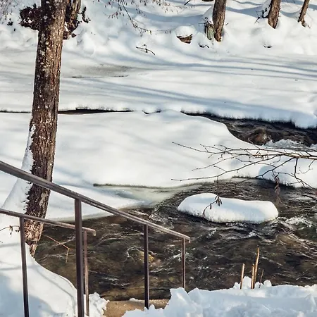 августин Πανσιόν Solochin