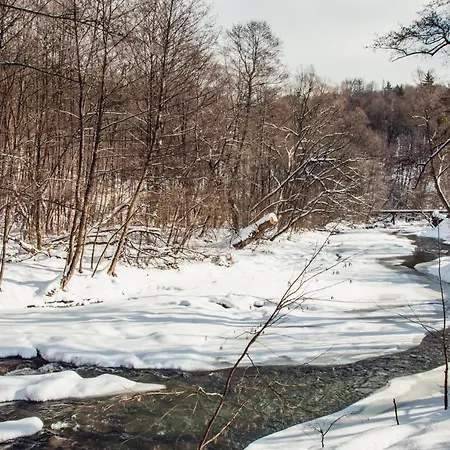 августин 4* Solochin