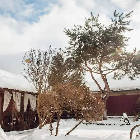 августин 4* Solochin