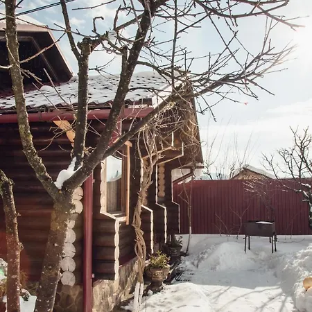 августин Solochin