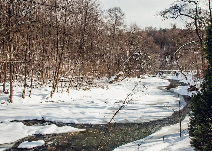 августин 3* Solochin