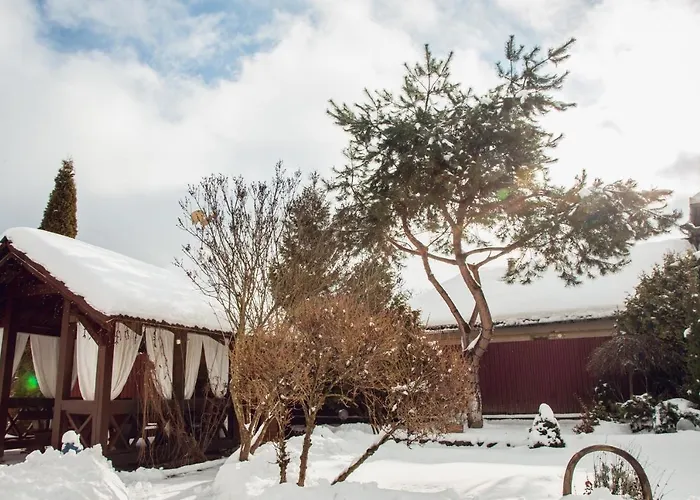 августин 3* Solochin